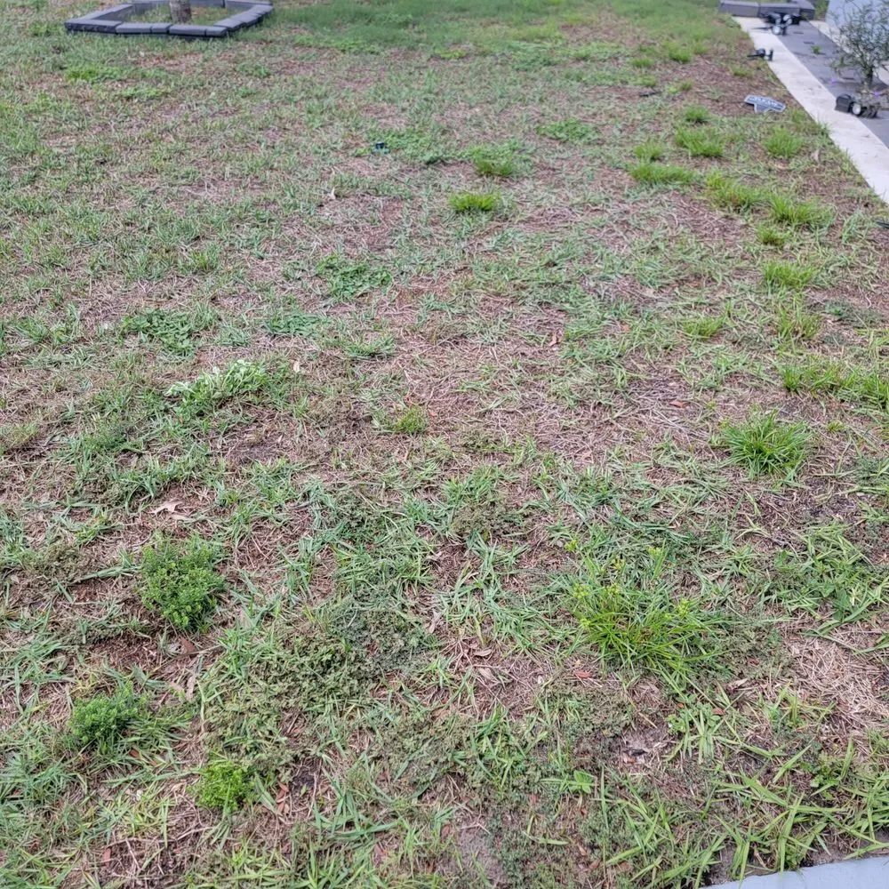 Expert lawn mowing service in Sanford, FL - Turfmaster Lawn and Ornamental Care