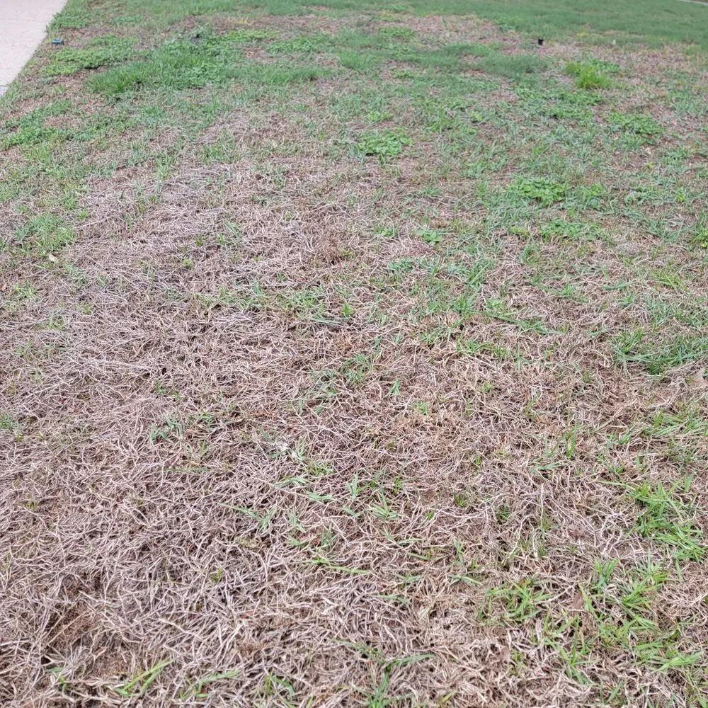 Top-rated residential landscaping near you in Sanford, FL by Turfmaster Lawn and Ornamental Care