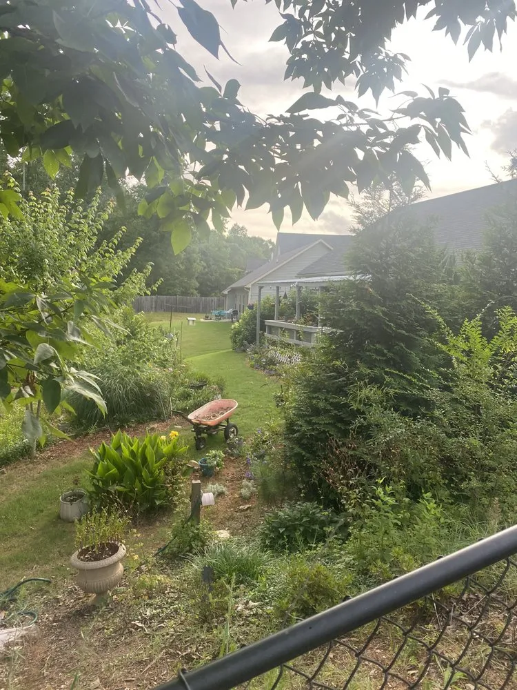 Local yard maintenance in Dallas, GA - Turfmasters Lawn Care