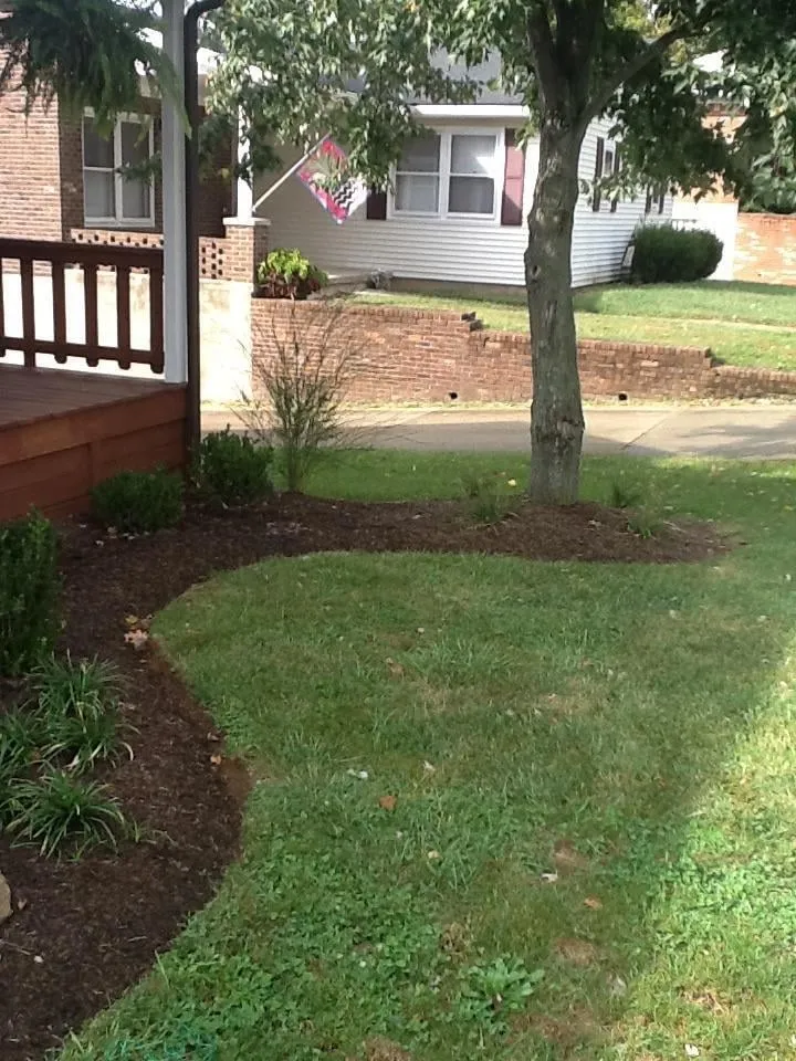 Reliable yard maintenance for year-round maintenance across Georgetown, KY - TurfMasters Quality Landscapes