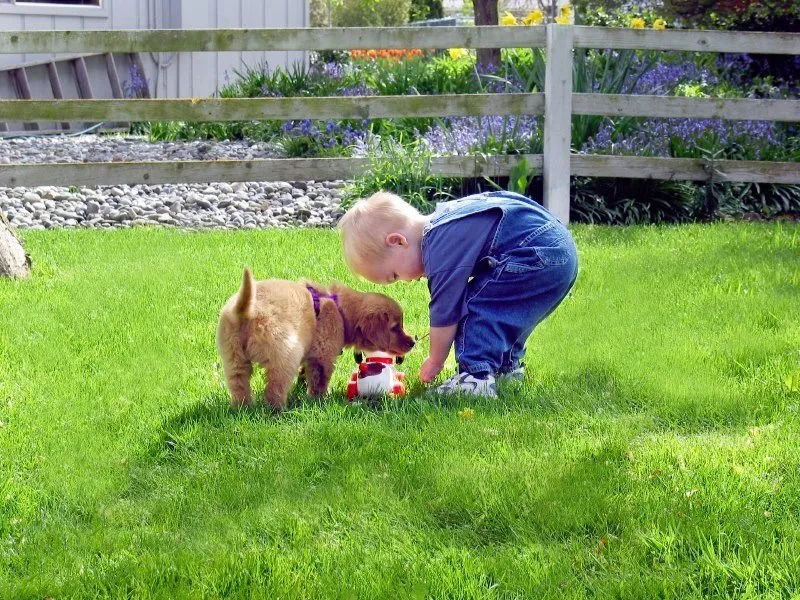 Local landscape installation in South Windsor, CT by TurfMasters