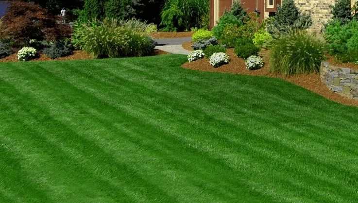 Top-rated lawn care service for residential properties across South Windsor, CT - TurfMasters
