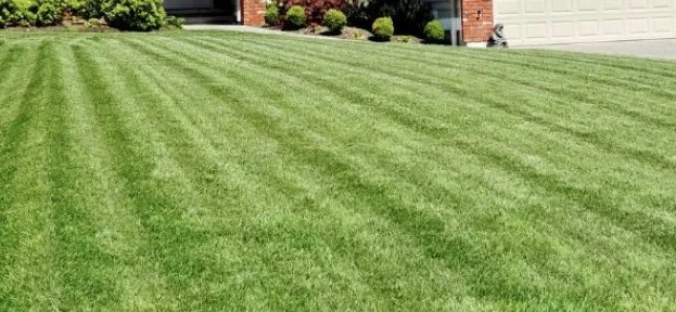 Custom yard cleanup service in High Point, NC by Turfmunchers Lawn Care Services