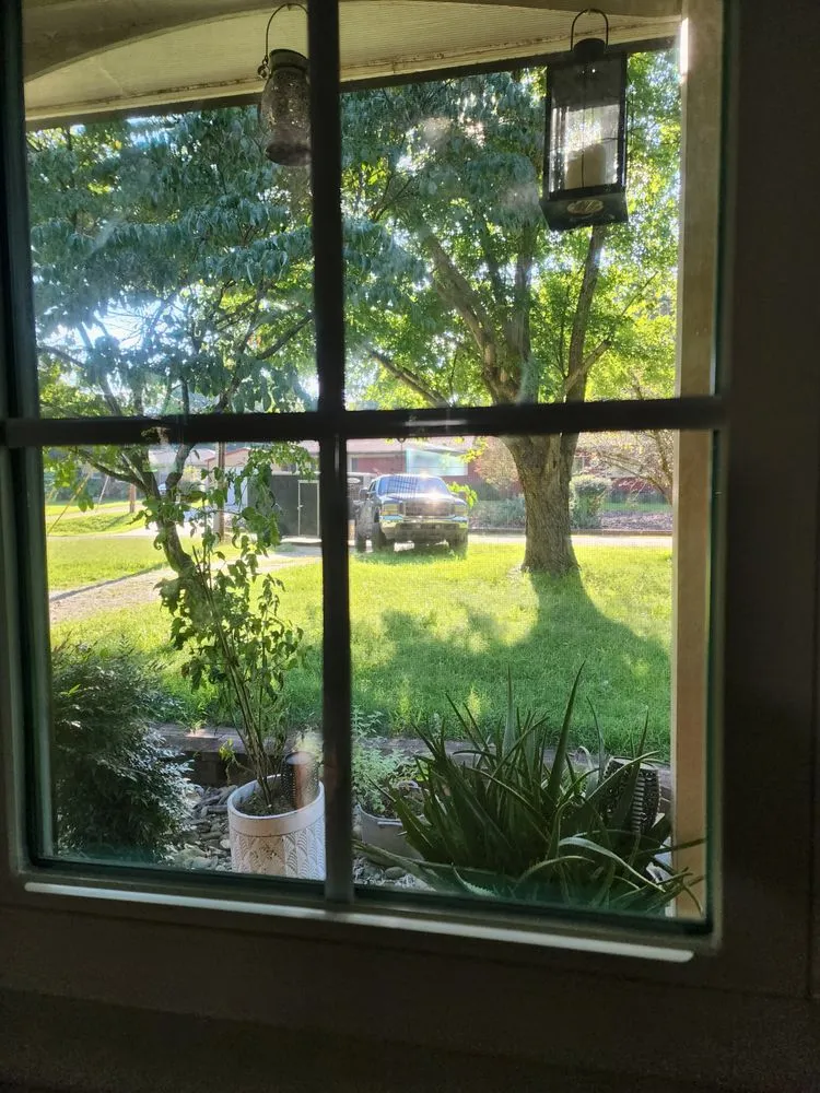 Professional yard cleanup service for homes across High Point, NC - Turfmunchers Lawn Care Services