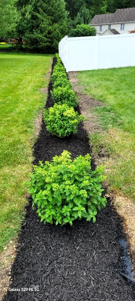 Custom yard cleanup service in York, PA by Turfology LLC