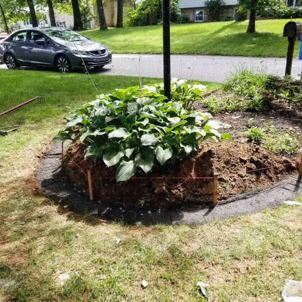 Custom lawn mowing service for homes across York, PA - Turfology LLC