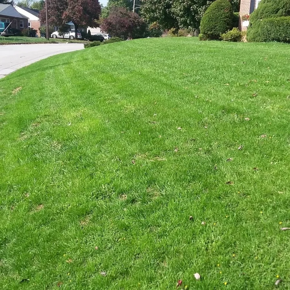 Local lawn mowing service in York, PA by Turfology LLC