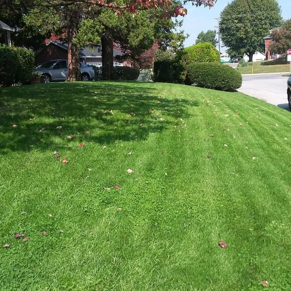 Affordable lawn mowing service for year-round maintenance across York, PA - Turfology LLC
