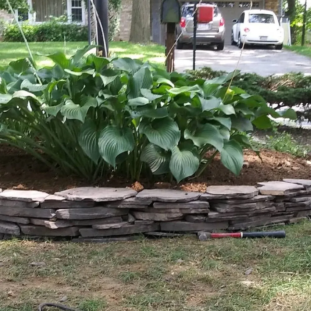 Affordable landscaping services in York, PA by Turfology LLC