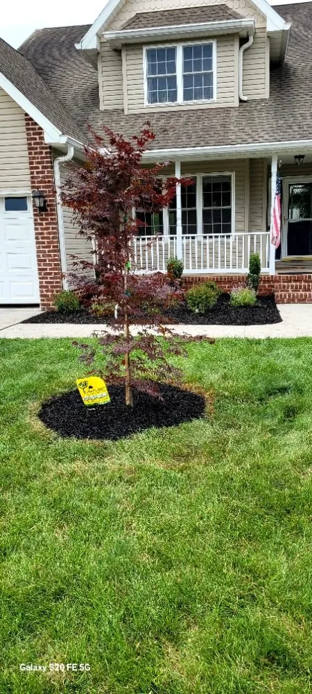 Expert lawn mowing service for homes across York, PA - Turfology LLC