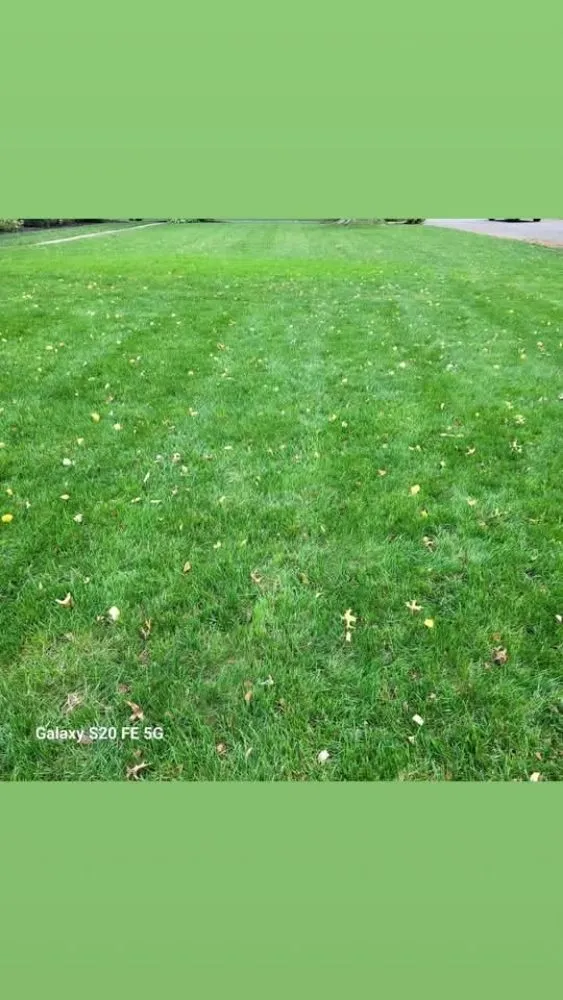 Local residential landscaping for outdoor upgrades in York, PA by Turfology LLC