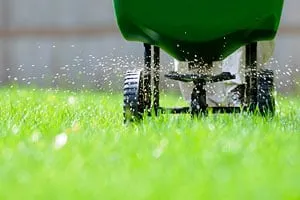 Reliable lawn care service in Mansfield, TX by Turfpals
