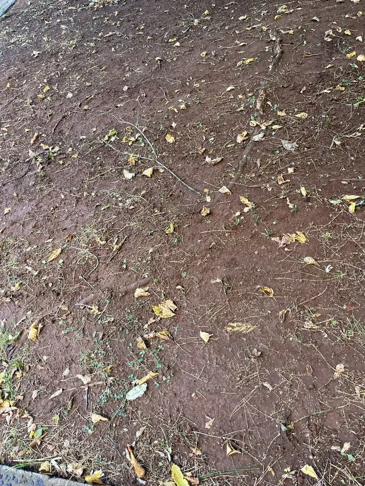 Local residential landscaping in Kennesaw, GA - TurfPride