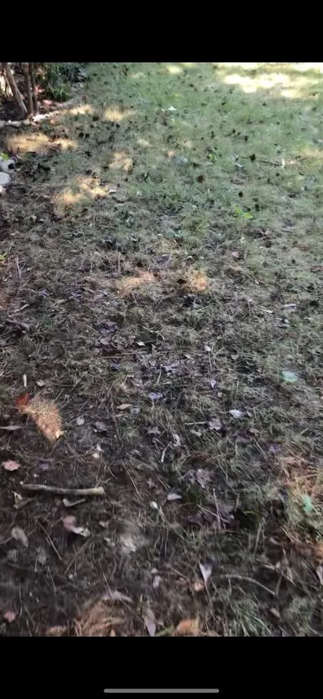 Affordable landscape installation experts serving Kennesaw, GA - TurfPride