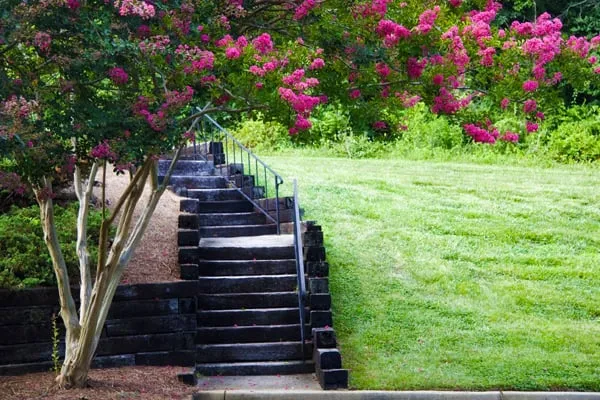 Trusted lawn care service for outdoor upgrades across Kennesaw, GA - TurfPride