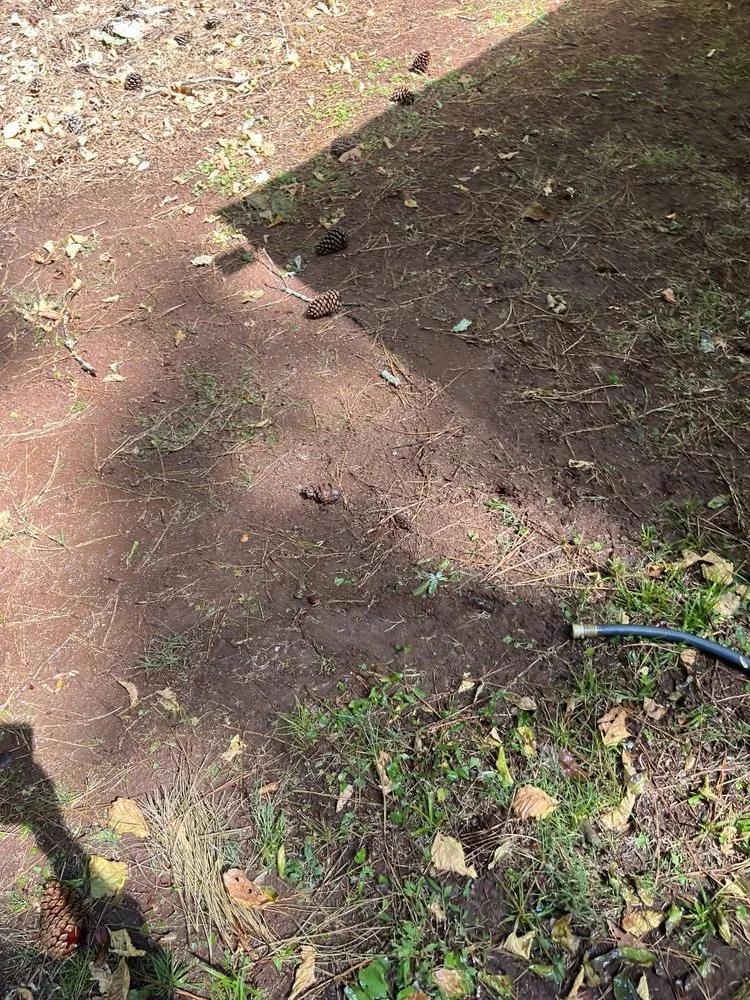 Trusted lawn mowing service in Kennesaw, GA by TurfPride