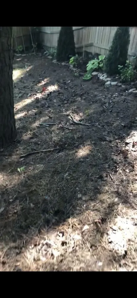 Professional residential landscaping in Kennesaw, GA - TurfPride