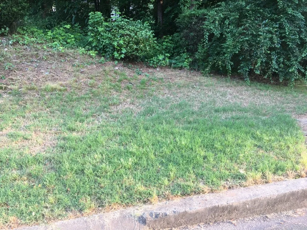 Trusted lawn mowing service for year-round maintenance across Kennesaw, GA - TurfPride