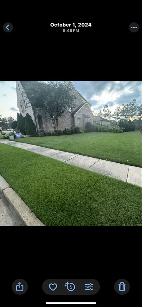 Custom yard maintenance for beautiful yards across Germantown, TN - Turfpro