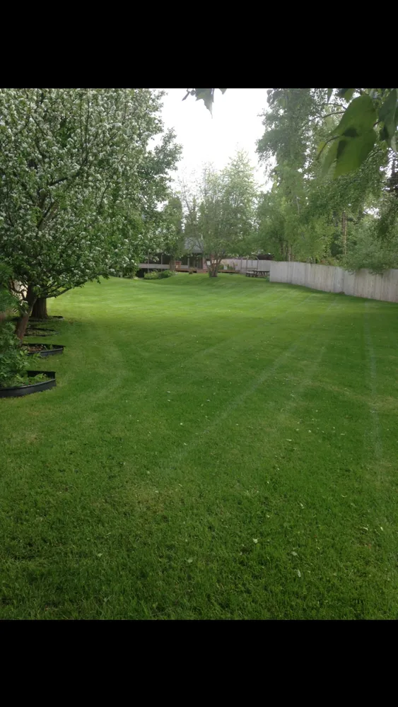 Affordable landscape installation for homes across Anchorage, AK - TurfPro Lawn & Snow