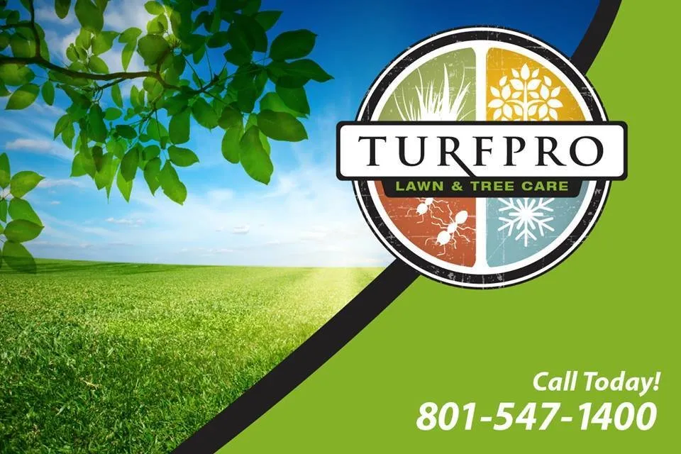 Top-rated landscape design experts serving Layton, UT - Turfpro Lawn Care