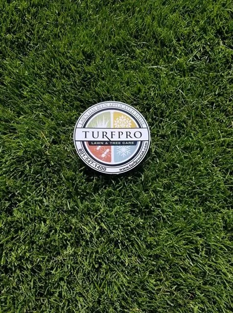 Custom garden landscaping for residential properties in Layton, UT by Turfpro Lawn Care