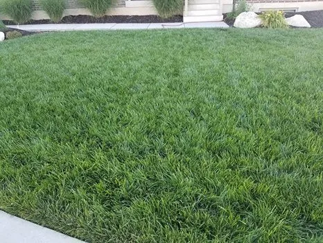 Top-rated outdoor landscaping with custom design across Layton, UT - Turfpro Lawn Care