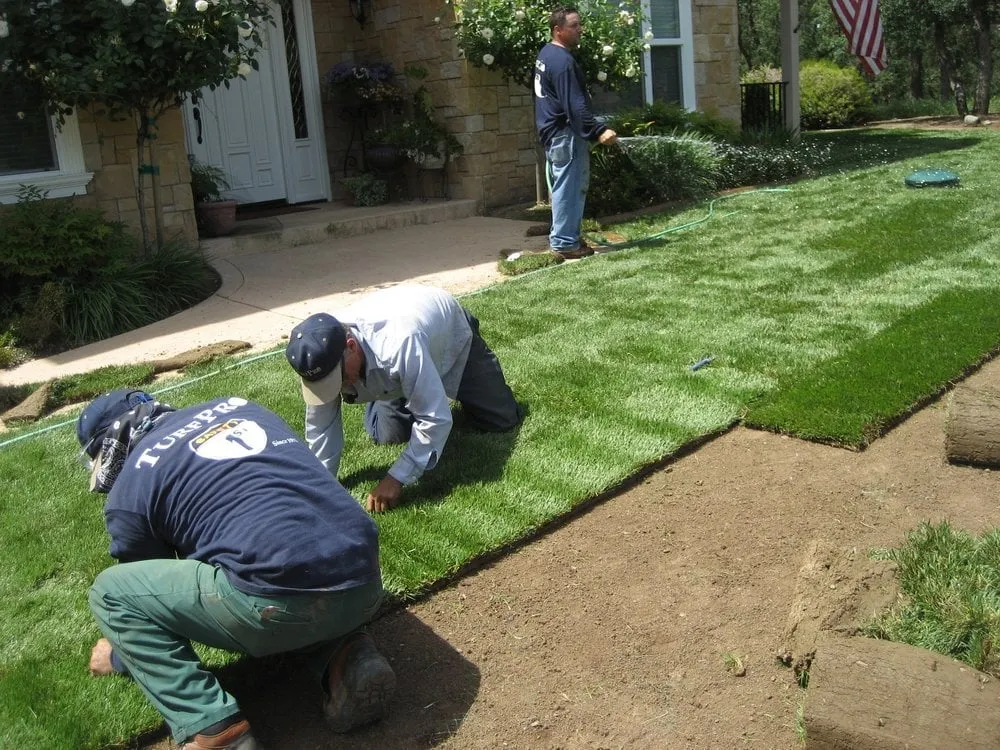 Reliable yard maintenance experts serving Sacramento, CA - TurfPro
