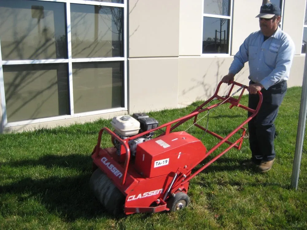 Professional yard maintenance in Sacramento, CA - TurfPro