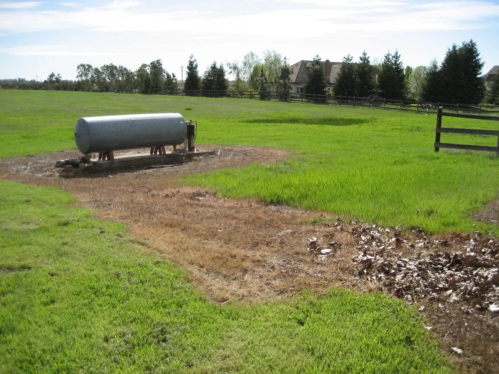 Custom yard maintenance experts serving Sacramento, CA - TurfPro