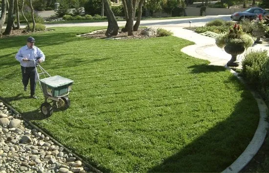 Local yard maintenance for year-round maintenance in Sacramento, CA by TurfPro