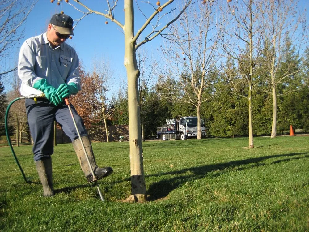 Trusted landscape design in Sacramento, CA - TurfPro