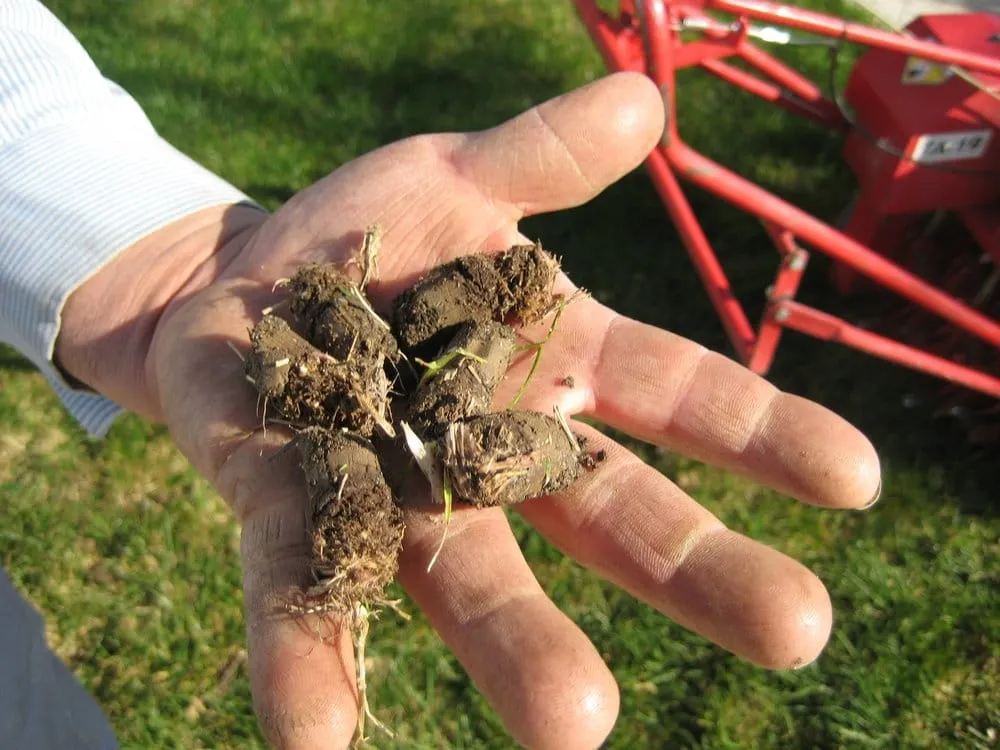 Top-rated garden landscaping for year-round maintenance across Sacramento, CA - TurfPro