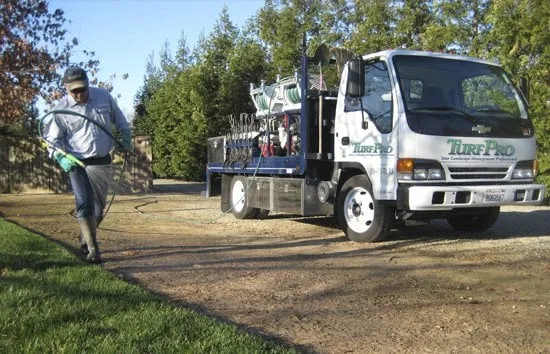 Professional yard cleanup service in Sacramento, CA - TurfPro