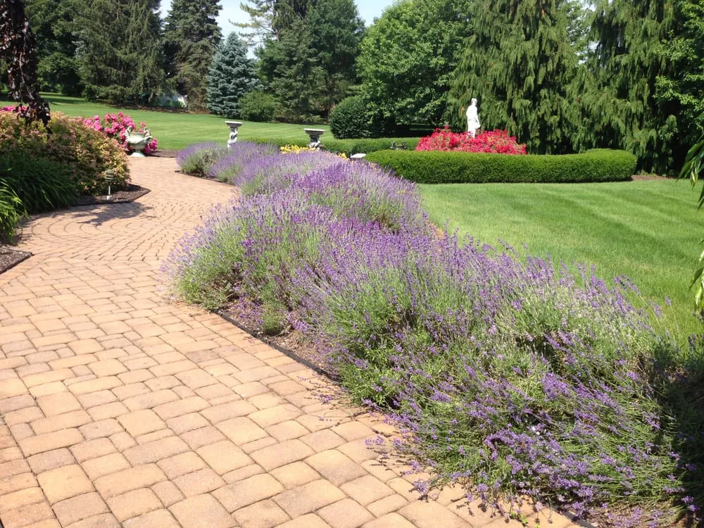Trusted residential landscaping with custom design across Zionsville, PA - Turfpro