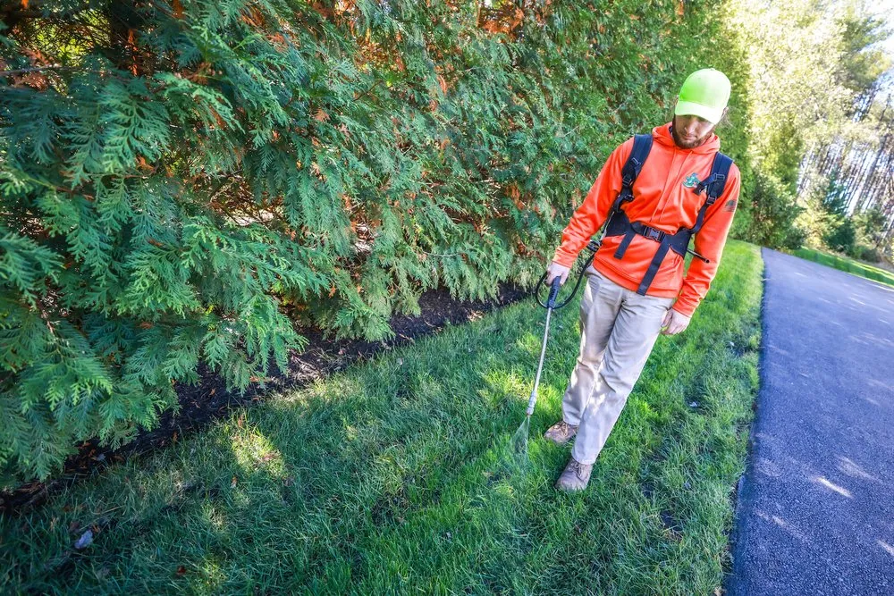 Local landscaping services in Haymarket, VA by Turf's Up!