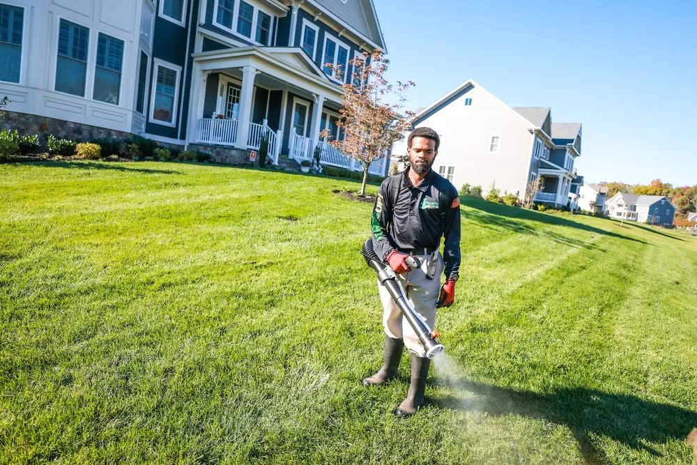 Reliable landscaping services for beautiful yards across Haymarket, VA - Turf's Up!