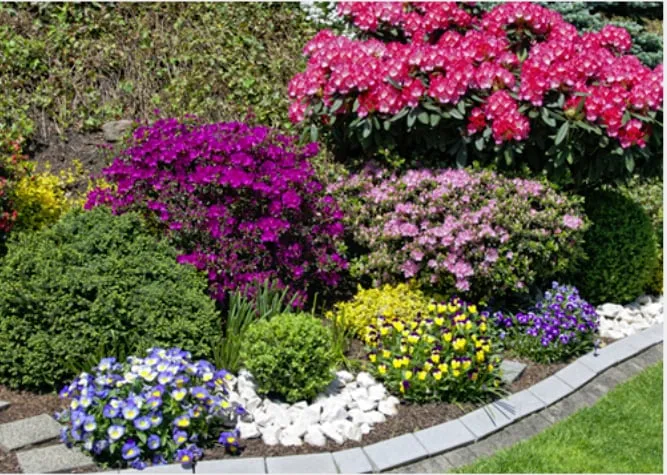 Affordable lawn mowing service in Lake Stevens, WA by Turf's Up