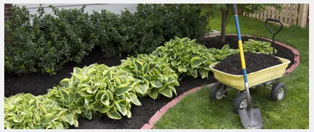 Top-rated landscape design in Lake Stevens, WA - Turf's Up