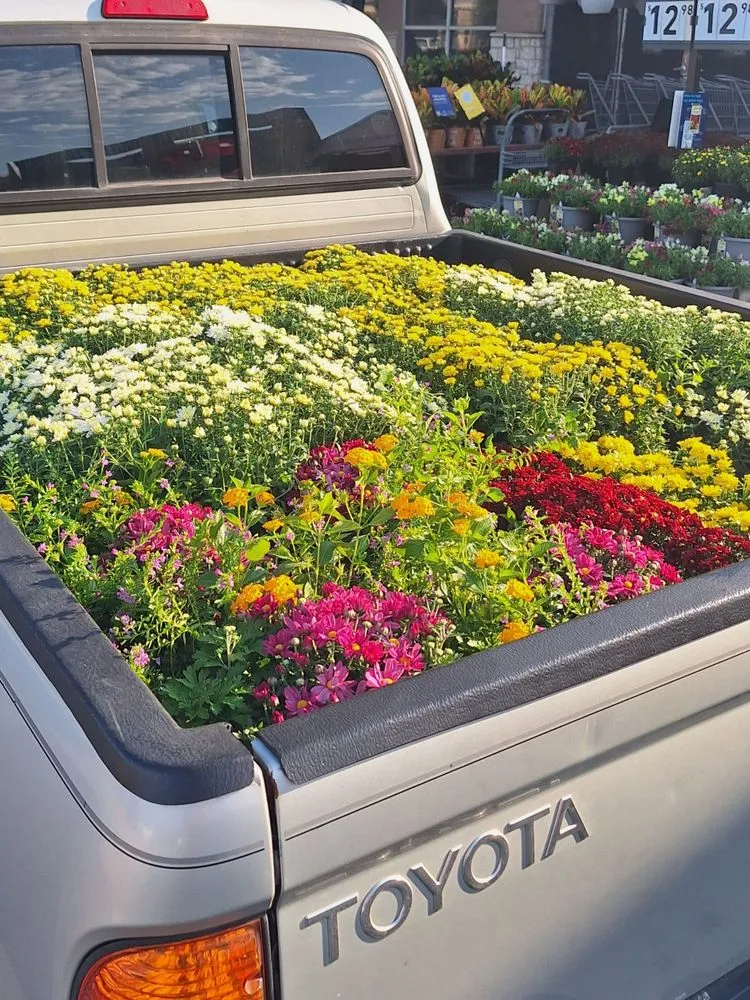 Expert yard maintenance in McKinney, TX - Turfs Up Lawn Care