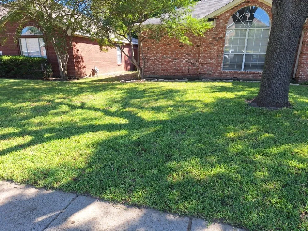 Top-rated landscape installation for residential properties across McKinney, TX - Turfs Up Lawn Care