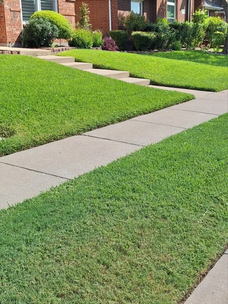 Custom yard cleanup service in McKinney, TX - Turfs Up Lawn Care