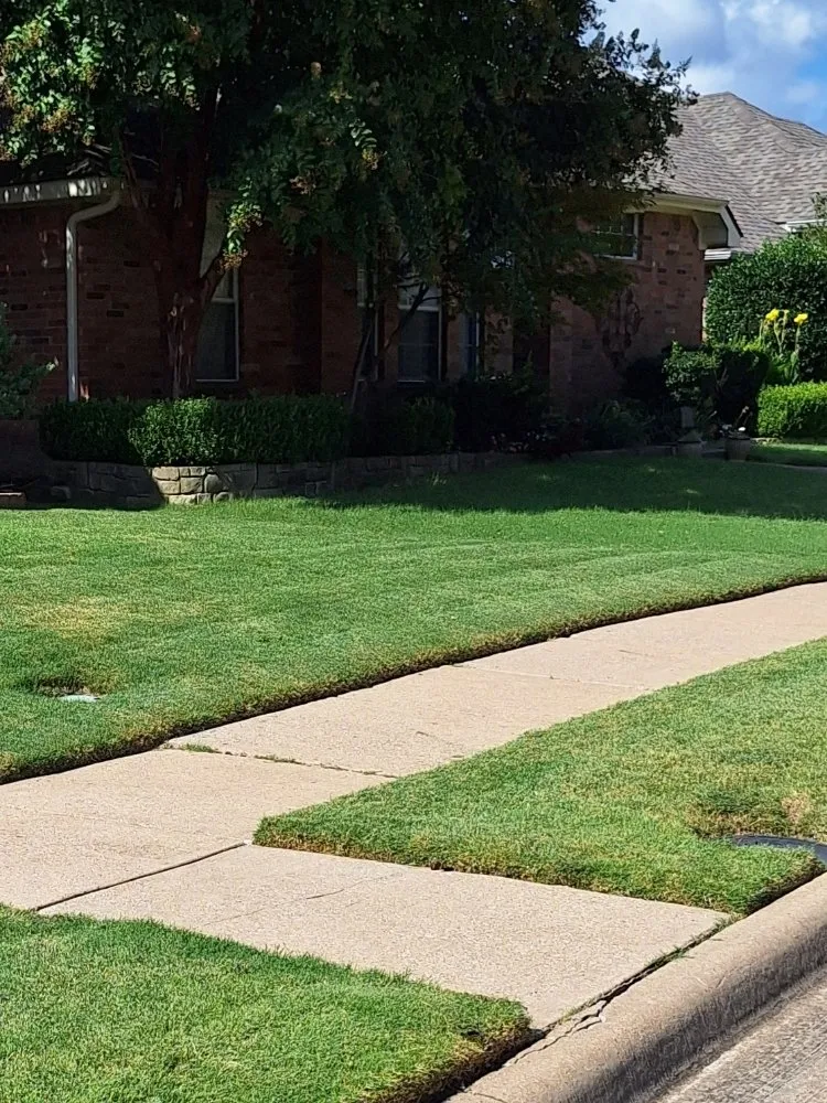 Local yard cleanup service in McKinney, TX by Turfs Up Lawn Care