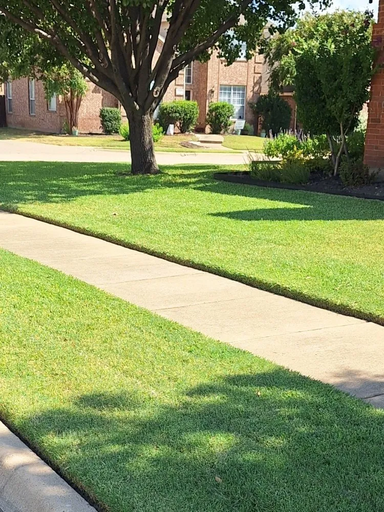 Affordable lawn mowing service in McKinney, TX - Turfs Up Lawn Care