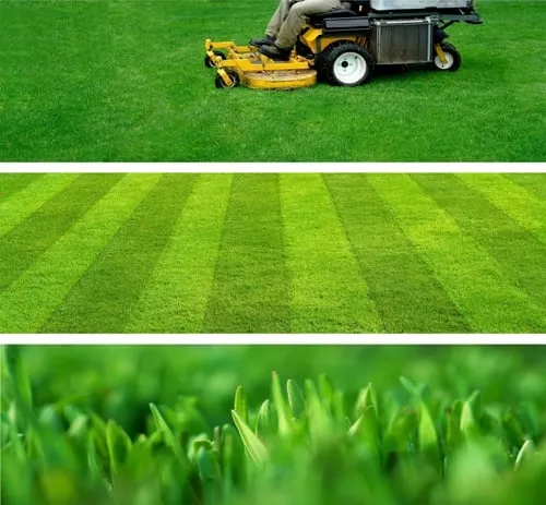 Trusted garden landscaping with custom design across Brooklyn Park, MN - Turfscape