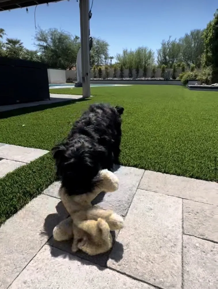 Custom lawn mowing service in San Diego, CA by Turfscape Pros SD