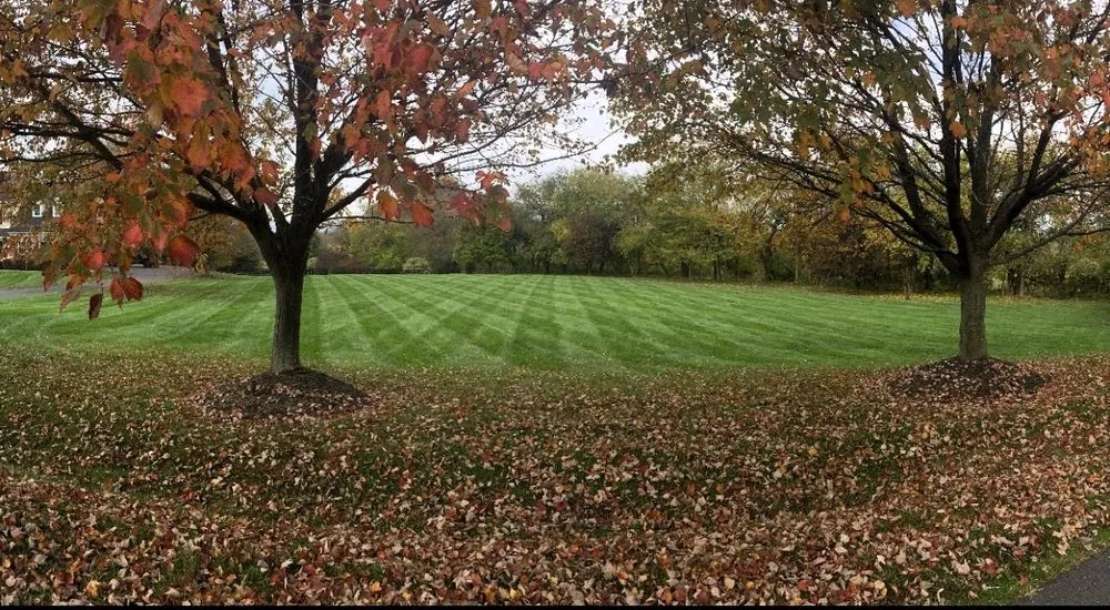 Local residential landscaping near you across Warrenton, VA - Turfscapes Lawn Care