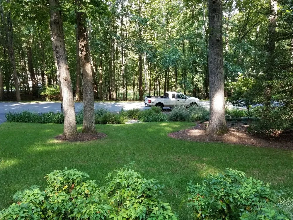 Professional yard cleanup service in Warrenton, VA by Turfscapes Lawn Care