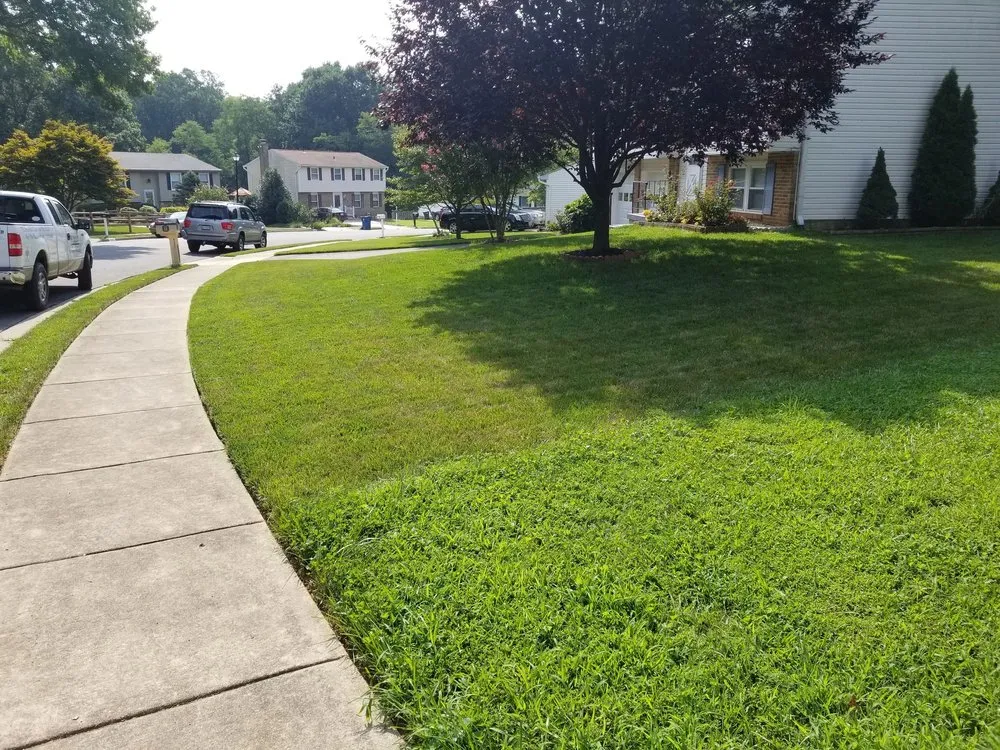 Local landscaping services experts serving Warrenton, VA - Turfscapes Lawn Care