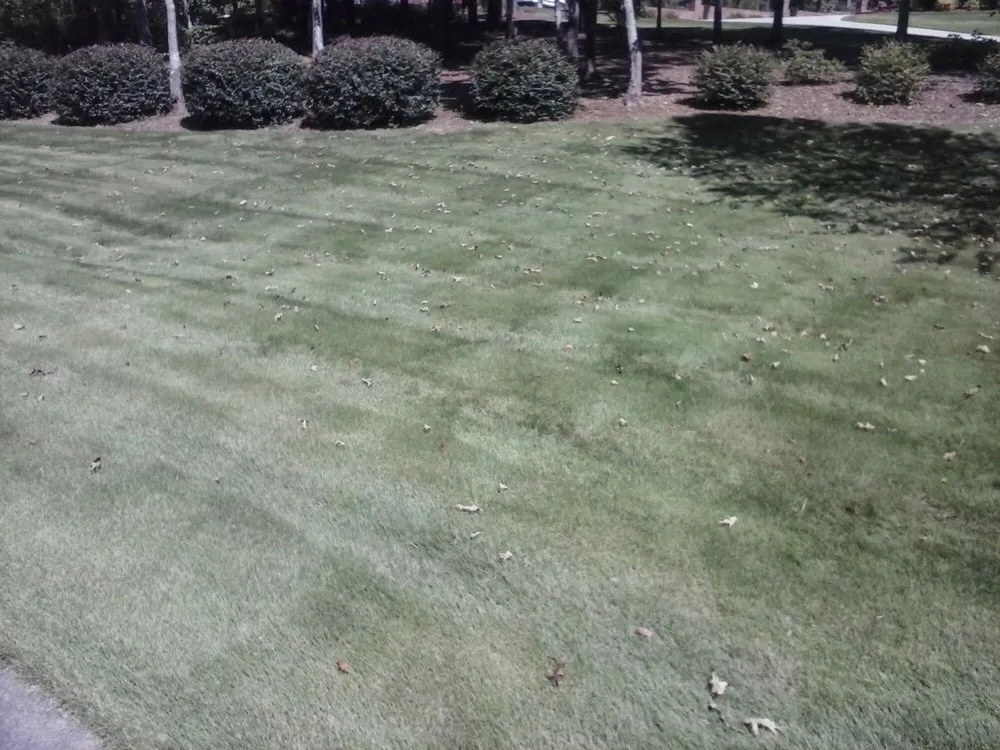 Expert outdoor landscaping with custom design across Kingston, GA - Turfscapes Professional